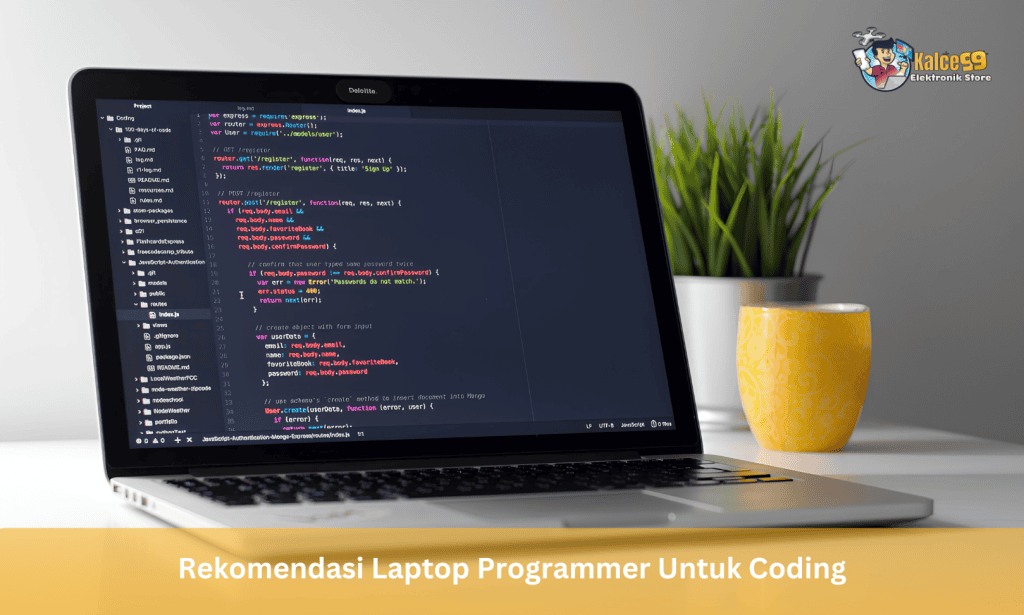 Laptop Programmer